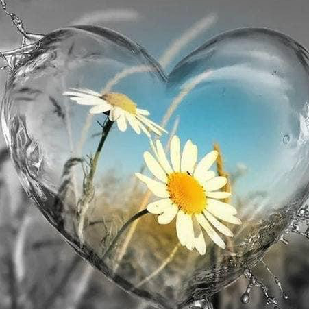 Profielfoto van Wendy