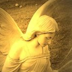 Profielfoto van Angel