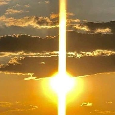 Profielfoto van Mint