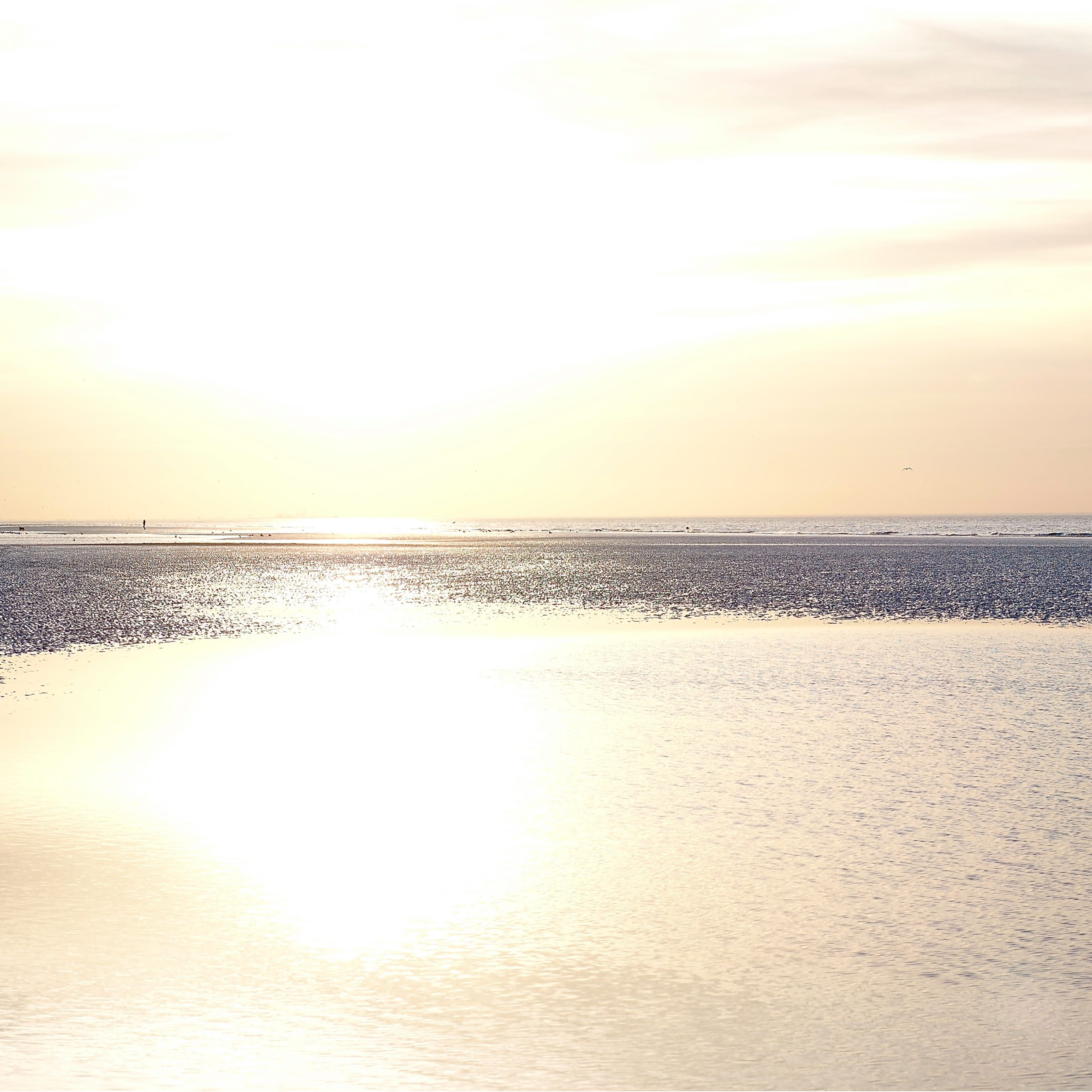 Profielfoto van Marie-Madeleine