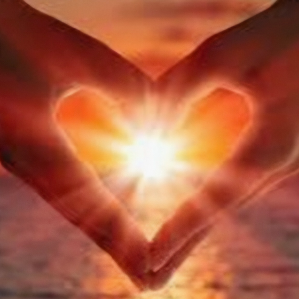 Profielfoto van Lynn