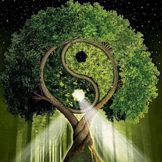 Profielfoto van Elena