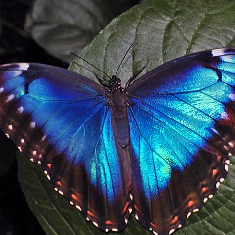 Profielfoto van Jolanda
