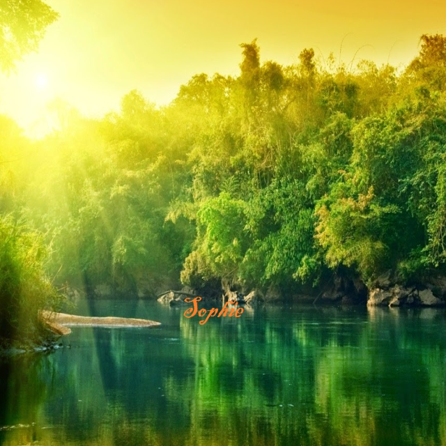 Profielfoto van Sophie J.