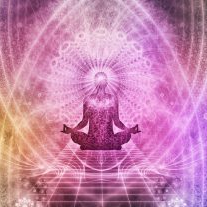 Profielfoto van Iris