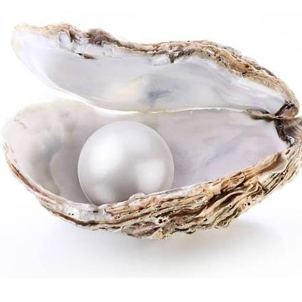 Profielfoto van Dinah