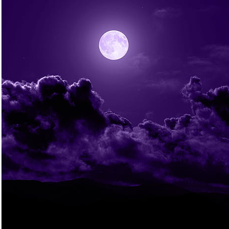 Profielfoto van Dinah