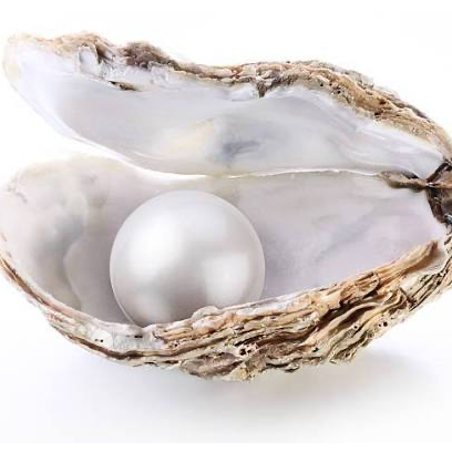 Profielfoto van Dinah