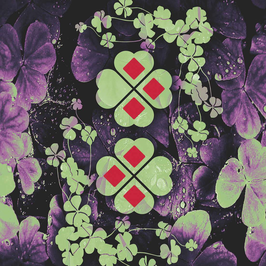 Profielfoto van Dani