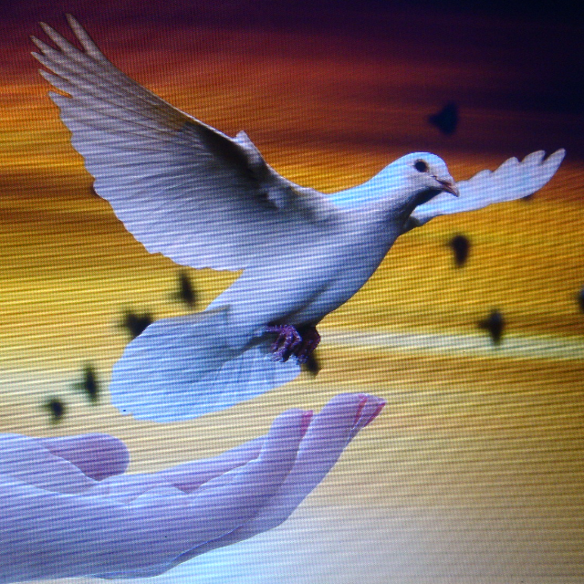 Profielfoto van Medium John