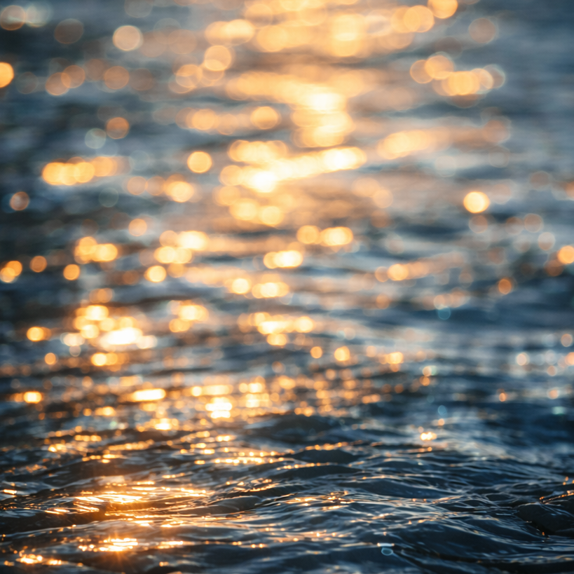 Profielfoto van Merlijn